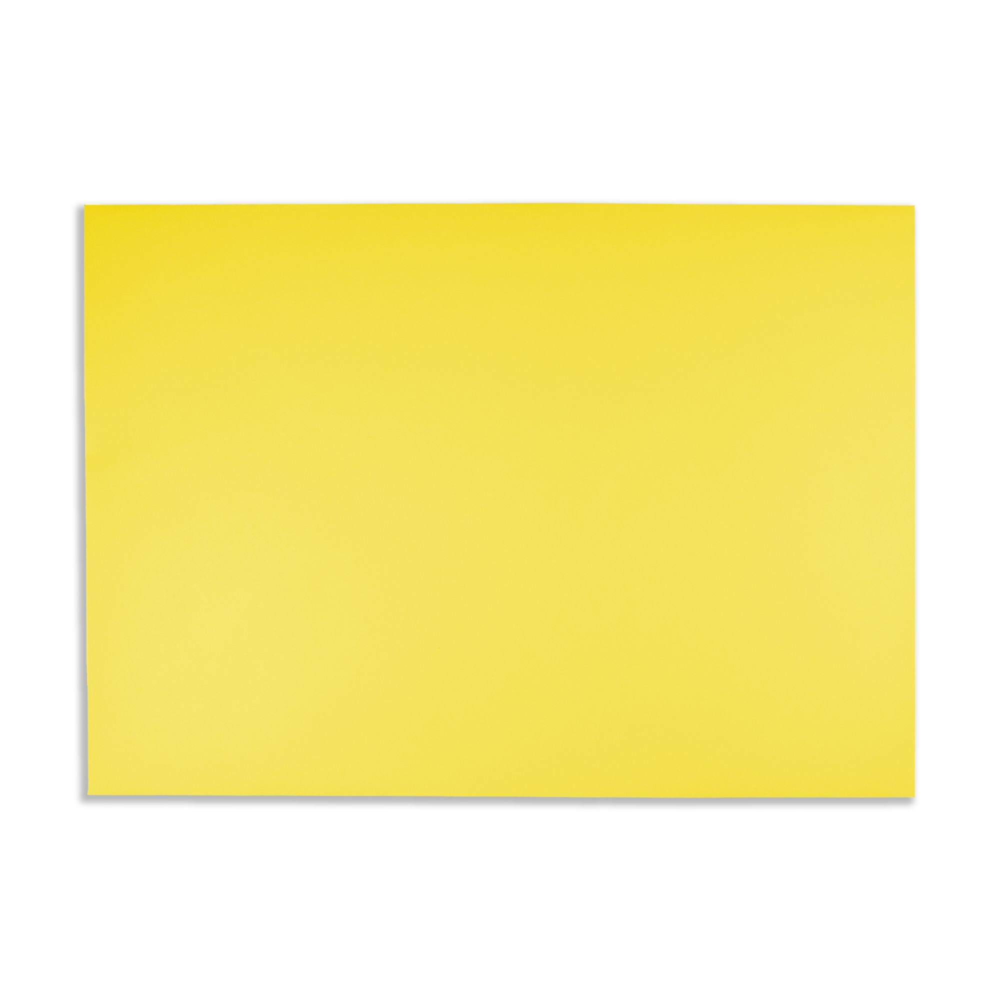 c5-daffodil-yellow
