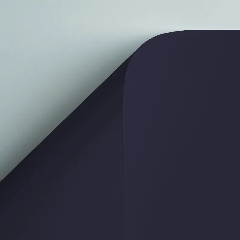 Curious Skin 270gsm Double-Sided Card - Dark Blue