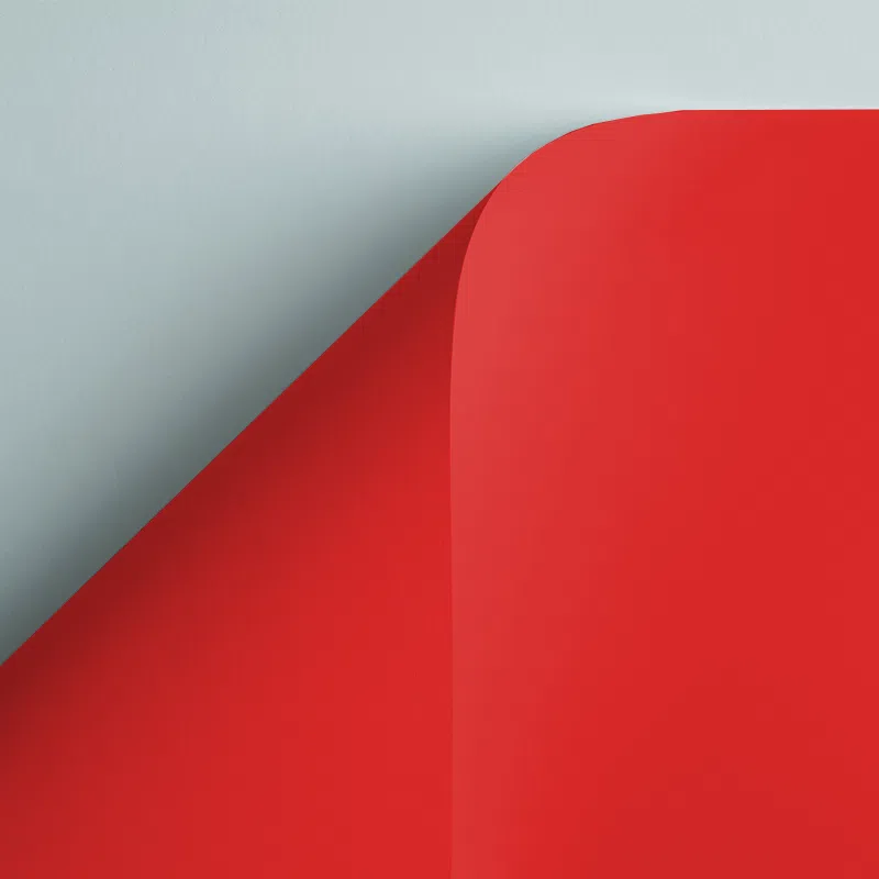 Curious Skin 270gsm Double-Sided Card - Red