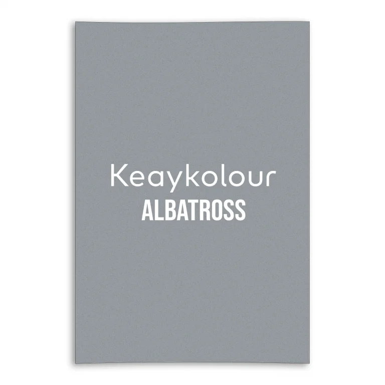 Keaykolour Card - Albatross