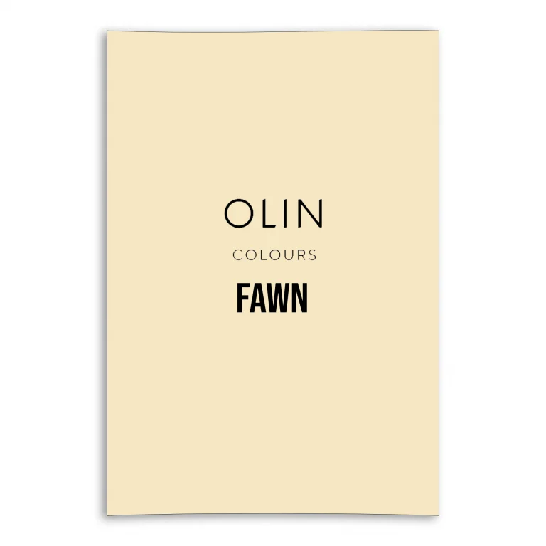 Olin Colours Card - Fawn