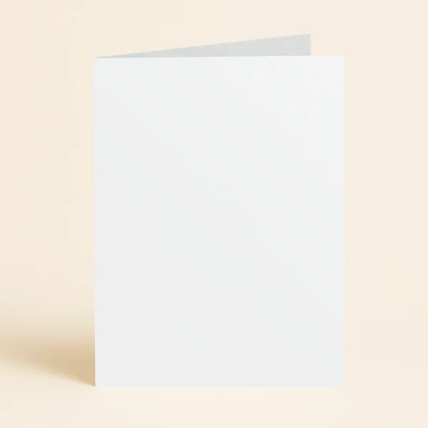 A5 Single Fold Card - Curious Metallics Ice Silver