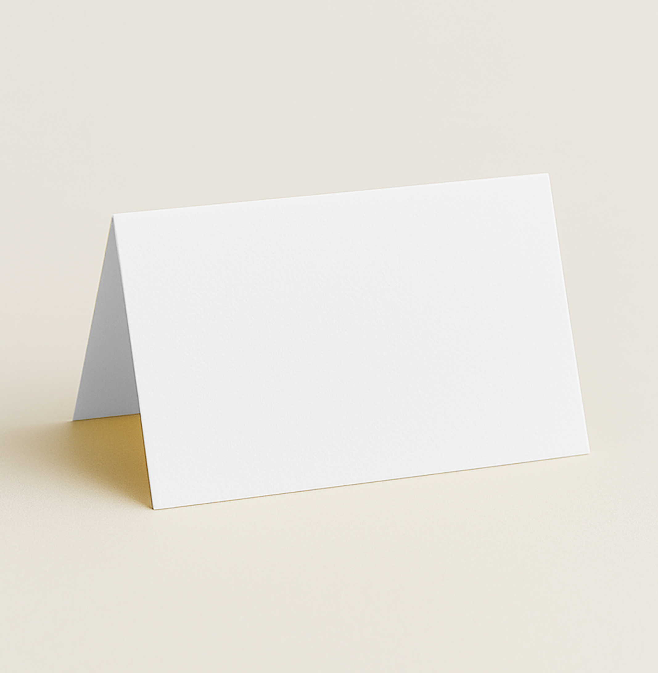 Folded Place Card – Olin Colours Brilliant White