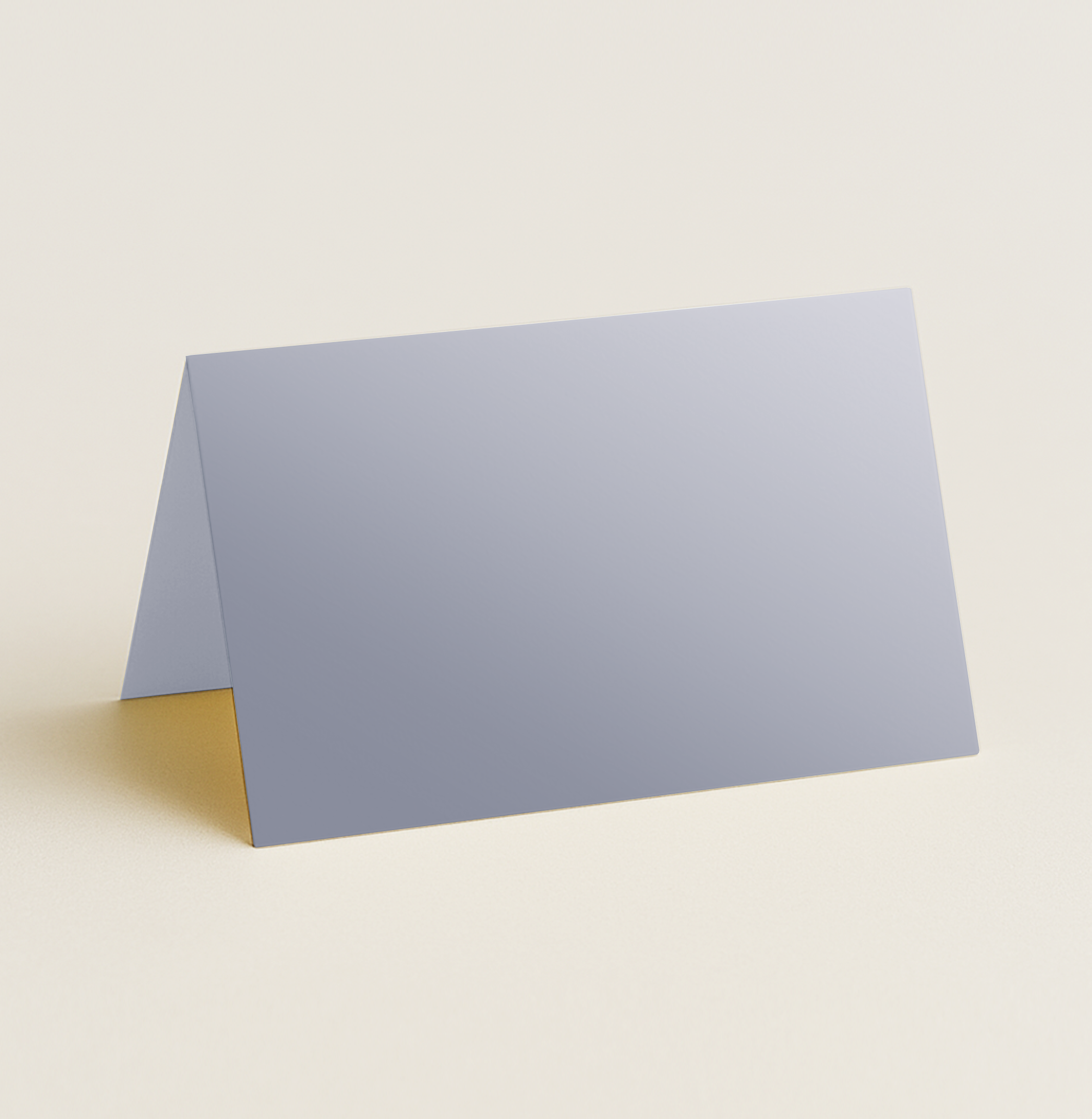 Folded Place Cards – Curious Metallics Galvanised