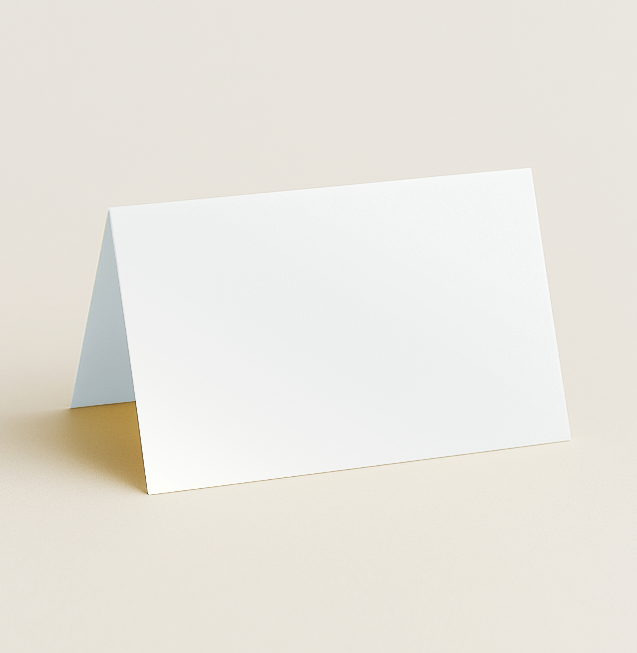 Folded Place Cards – Curious Metallics Ice Silver