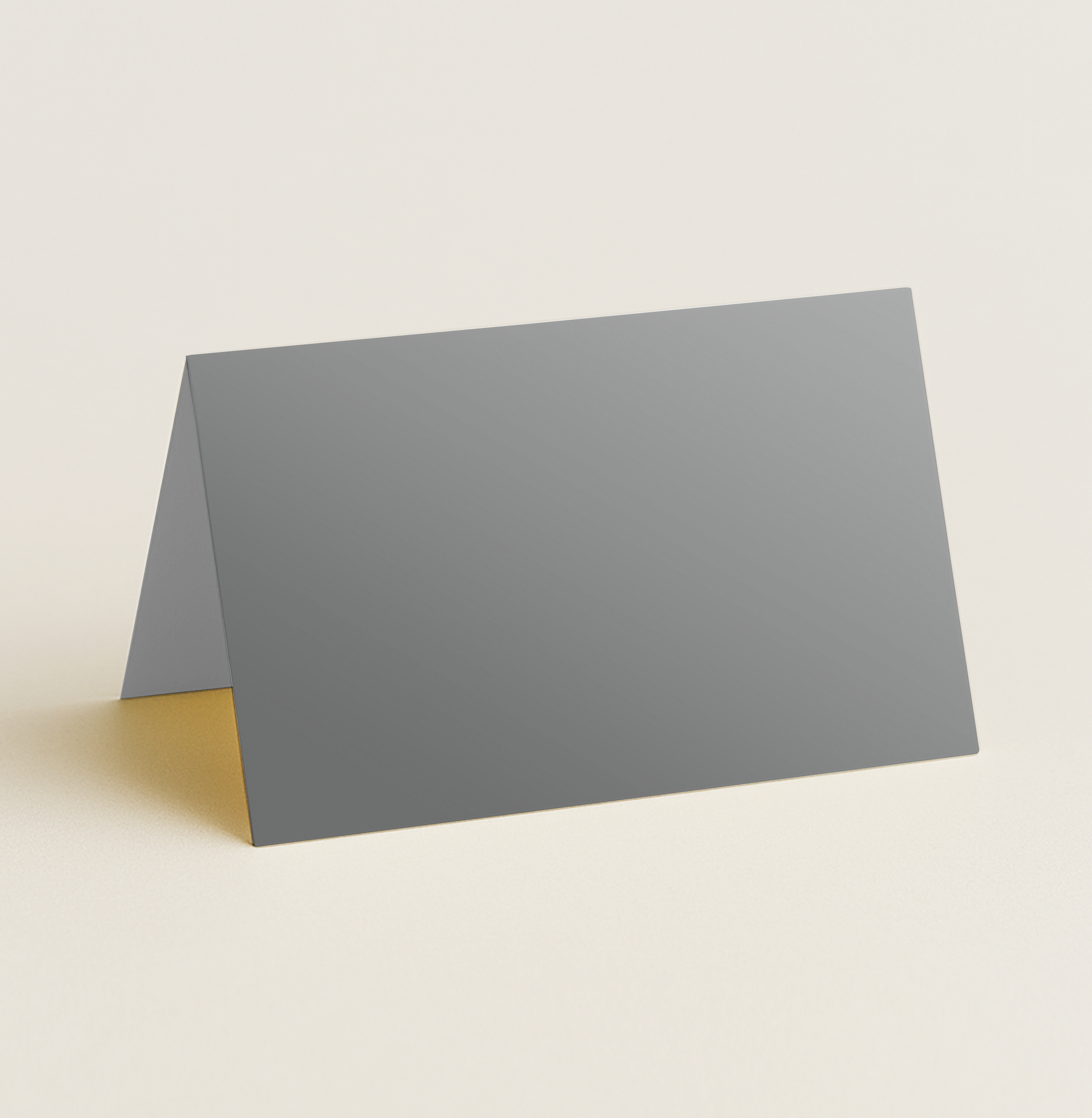Folded Place Cards – Curious Metallics Ionised