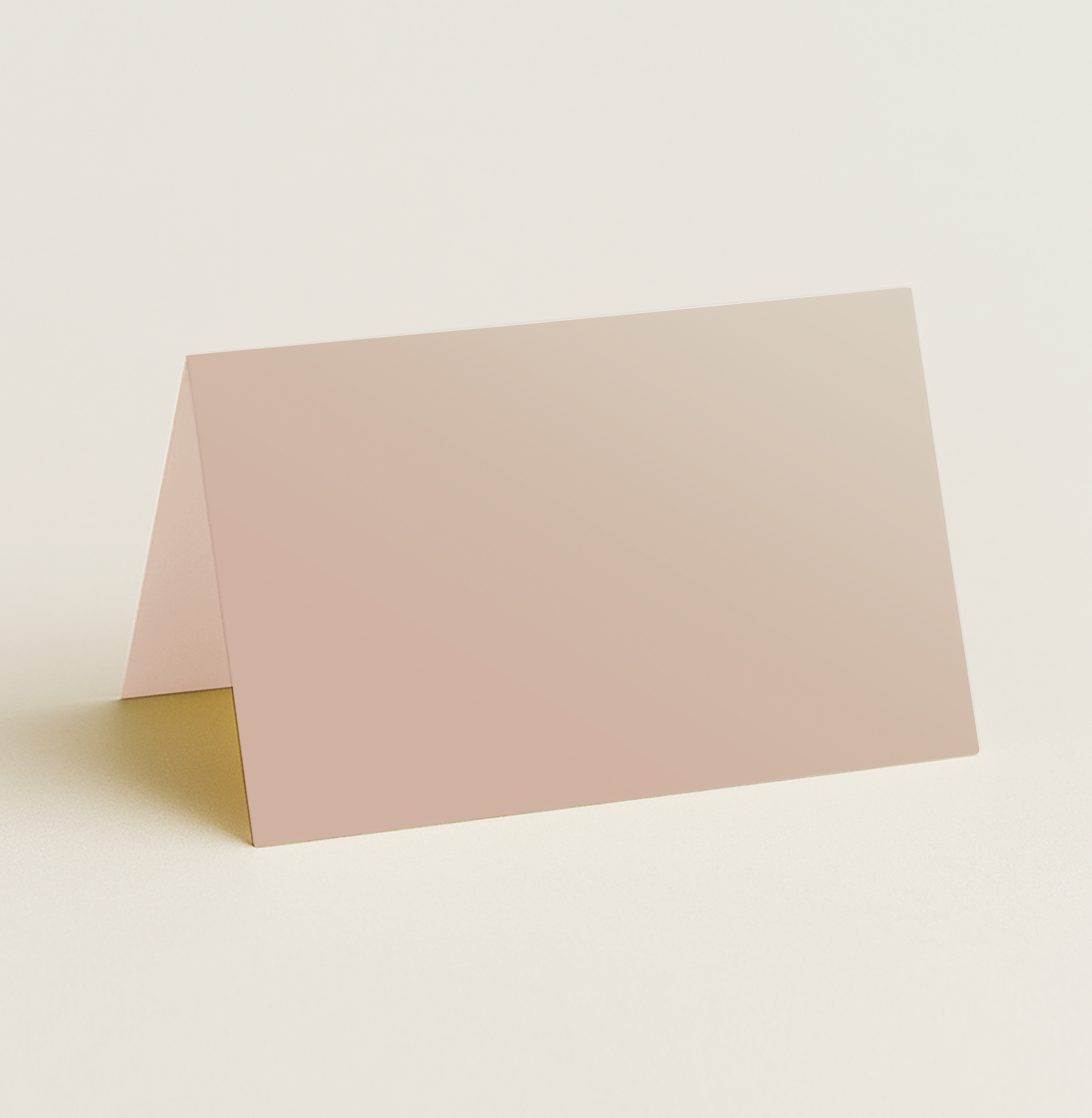 Folded Place Cards – Curious Metallics Nude