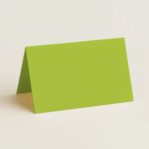 Folded Place Cards - Keaykolour Kiwi