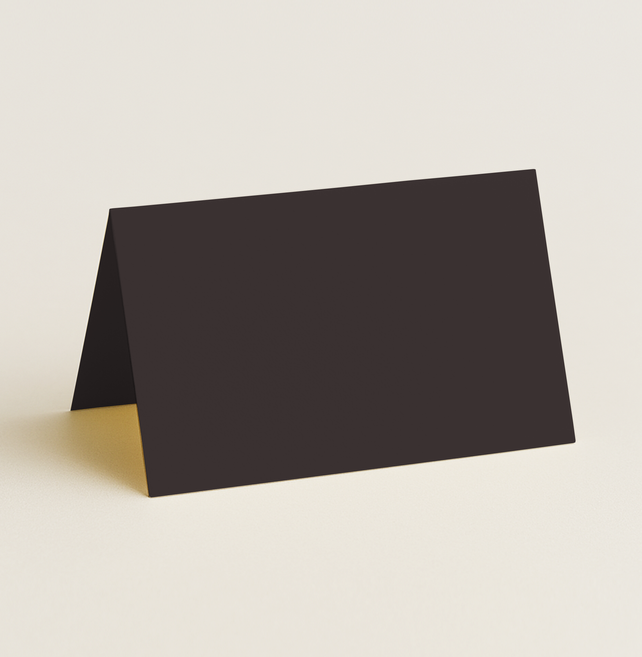 Folded Place Cards – Olin Colours Hot Brown