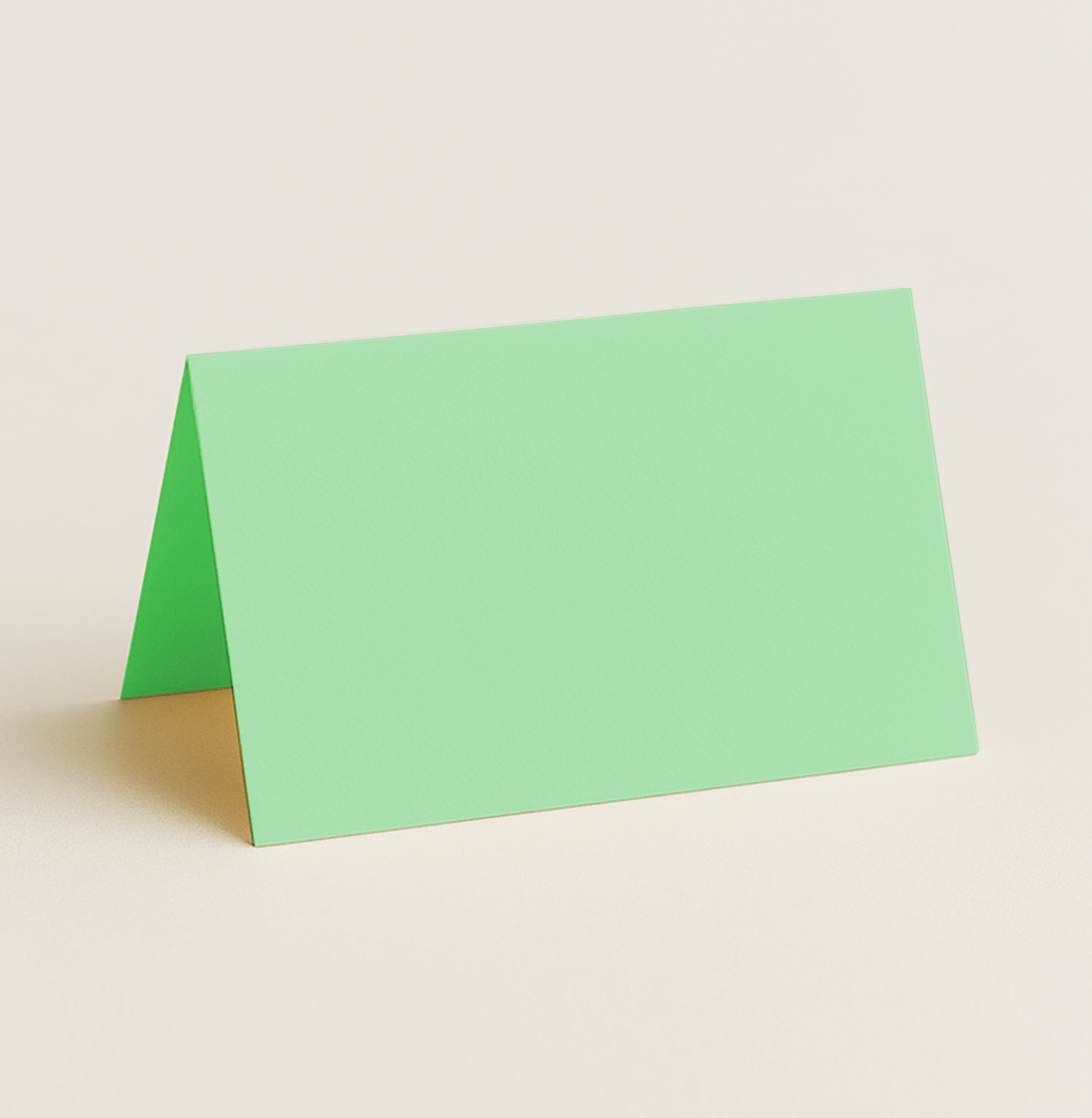 Folded Place Cards – Olin Colours Spring Green