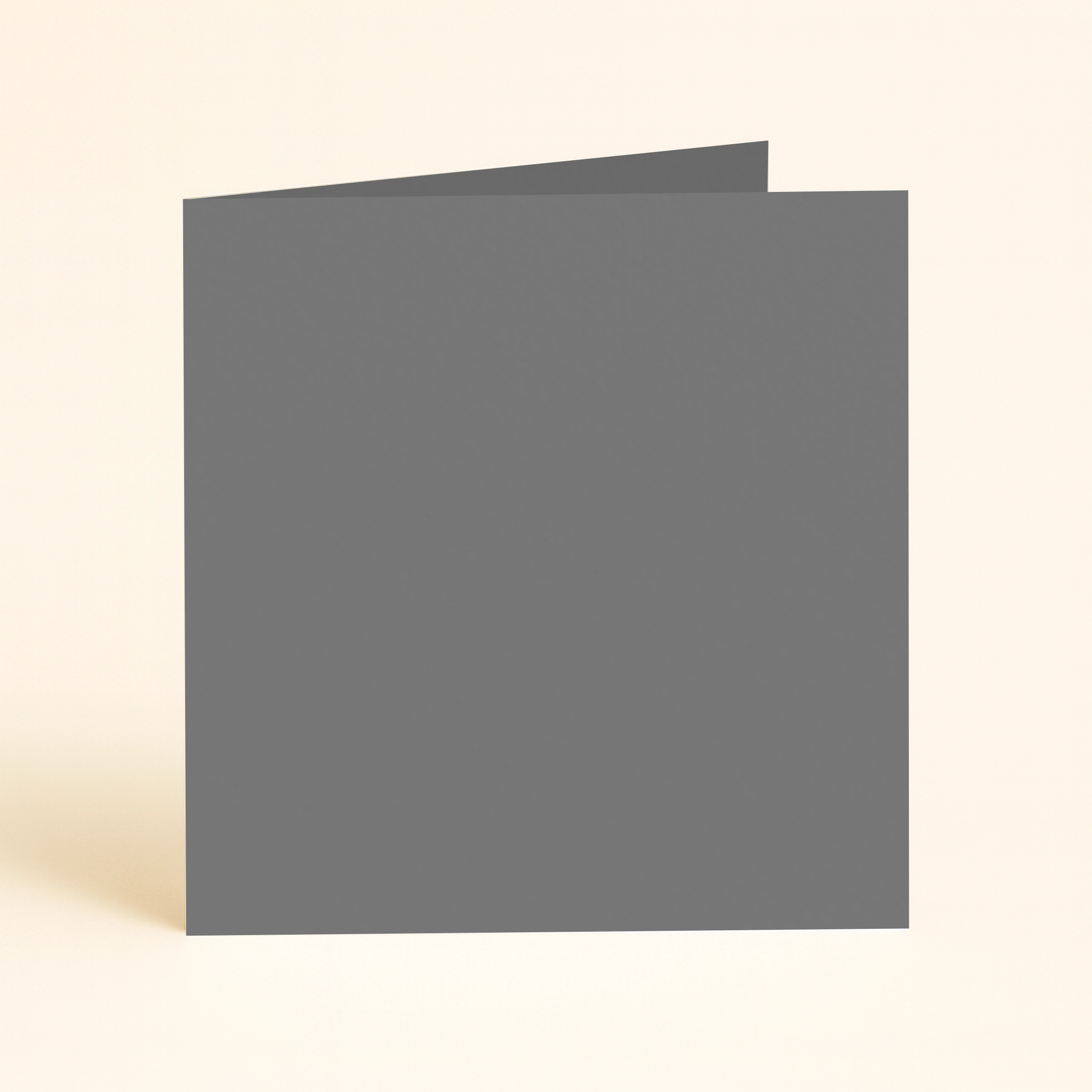125mm Square Single Fold Card - Keaykolour Albatross 1 125mm square folded – Albatross – keaykolour