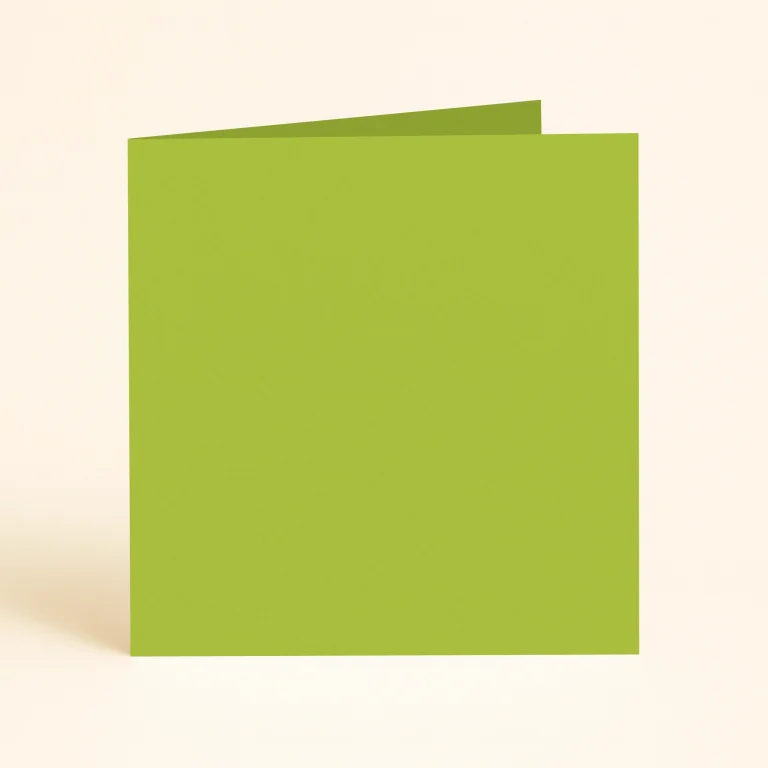 150mm Square Single Fold Card - Keaykolour Kiwi