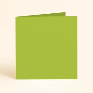 125mm square folded kiwi keaykolour
