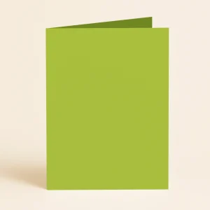 a5 single fold card keaykolour kiwi 1