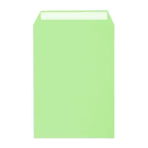 C4 Pale Green Peel & Seal Envelopes (120gsm) - View 4
