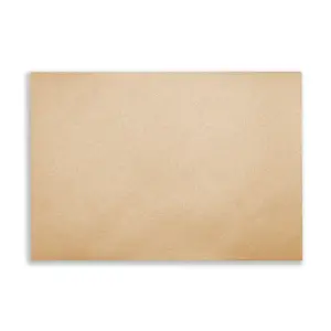 Envelopes | Cello Bags | Card | Paper - The Envelope People 42 ENV C Envelope Nude Flap Front