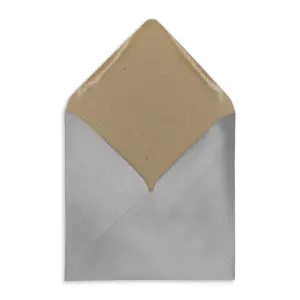 Envelopes | Cello Bags | Card | Paper - The Envelope People 45 Rustic silver Open