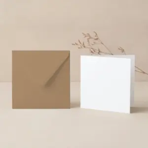 studio pack 150mm square paperline preprint white card blanks 155mm sq recycled fleck envelopes pack 1791800887