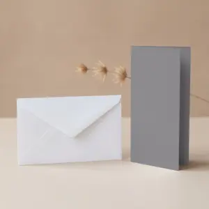 DL Vanguard Dark Grey Card Blanks & DL (110mm x 220mm) White Envelopes Pack 9 studio pack dl vanguard dark grey card blanks dl 110mm x 220mm white envelopes pack 1791809662